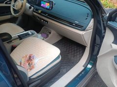 ORA Good Cat 400km Standard Range Athena Edition LFP Battery - ფოტო 8