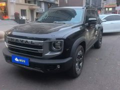 Great Wall Dachshund 2.0T DCT Chinese Rural Dog Edition - ფოტო 1