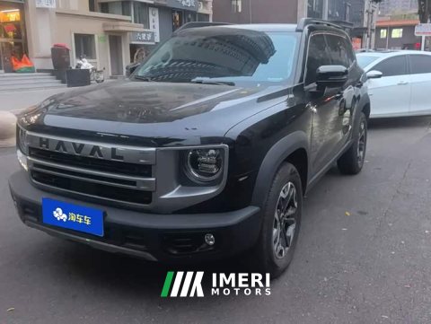 2024 Great Wall Dachshund 2.0T DCT Chinese Rural Dog Edition - ავტომობილი ჩინეთიდან