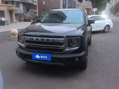Great Wall Dachshund 2.0T DCT Chinese Rural Dog Edition - ფოტო 2