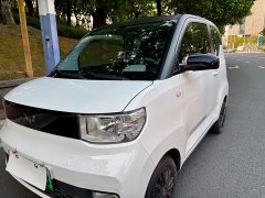 Wuling Hongguang MINIEV 2022 Zizai Edition LFP Battery - ფოტო 5