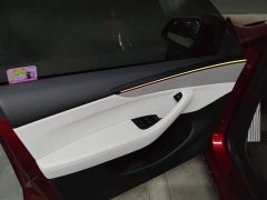 Tesla Model Y Rear-Wheel Drive - ფოტო 7
