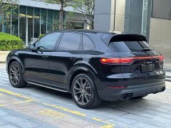 Porsche Cayenne 3.0T Platinum Edition - ფოტო 13