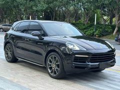 Porsche Cayenne 3.0T Platinum Edition - ფოტო 3