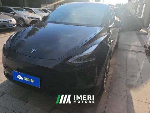 2021 Tesla Model Y Standard Range RWD - ავტომობილი ჩინეთიდან