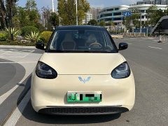 Wuling Binguo 2025 333km Joy Edition - ფოტო 1
