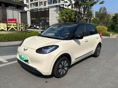 Wuling Binguo 2025 333km Joy Edition - ფოტო 2