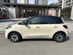 Wuling Binguo 2025 333km Joy Edition - ფოტო 3