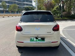 Wuling Binguo 2025 333km Joy Edition - ფოტო 4