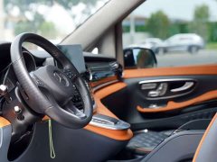 Mercedes-Benz V-Class 2022 V 260 L Long Wheelbase Luxury Edition - ფოტო 15