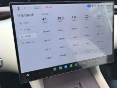 Xiaomi YU7 Rear-Wheel Drive Long-Range Edition - ფოტო 14