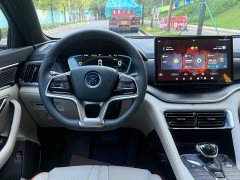 BYD Song Plus New Energy DM-i 51KM Premium Edition - ფოტო 9