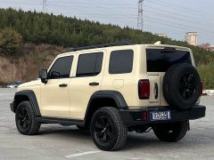 Tank 300 2.0T Gasoline Conqueror - ფოტო 6