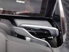 HiPhi X Flagship 6-Seater - ფოტო 13