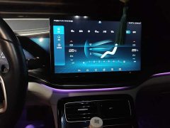 BYD Qin PLUS 2021 EV 500KM Luxury - ფოტო 9