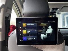 GAC Aion M8 Lingxiu Series 390T Flagship - ფოტო 15