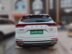 Haval H6 2021 National Trend 1.5T Automatic Champion Edition - ფოტო 3