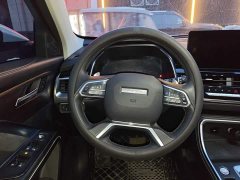 Haval H6 2021 National Trend 1.5T Automatic Champion Edition - ფოტო 6