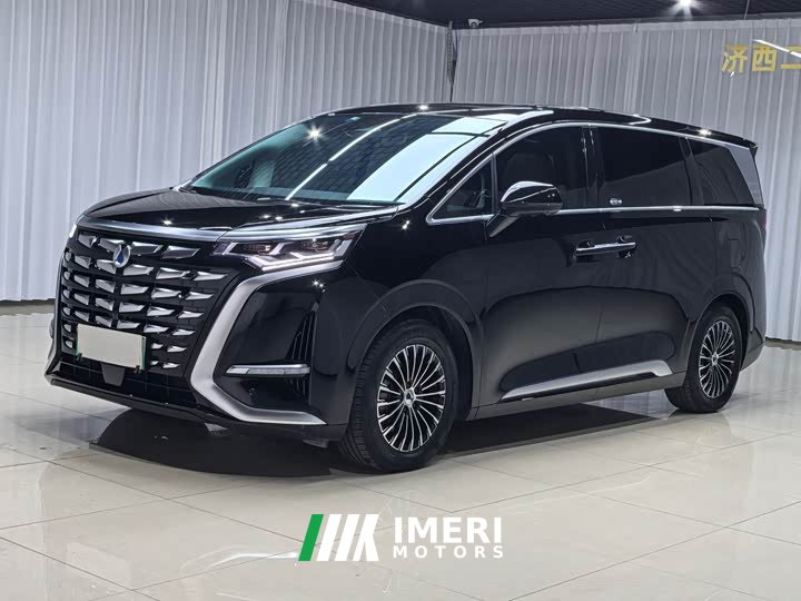 Denza BYD Denza D9 DM-i 1050 Premium - ავტომობილი ჩინეთიდან