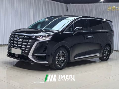 2024 Denza BYD Denza D9 DM-i 1050 Premium - ავტომობილი ჩინეთიდან