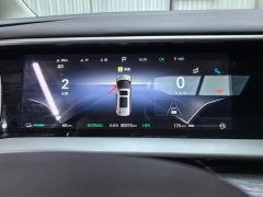 Denza BYD Denza D9 DM-i 1050 Premium - ფოტო 16