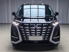 Denza BYD Denza D9 DM-i 1050 Premium - ფოტო 2