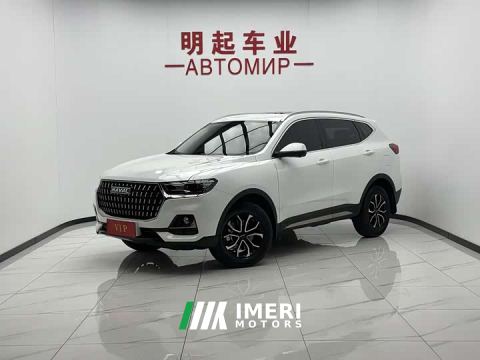 2023 Haval H6 National Trend Edition 1.5T Automatic Urban Version