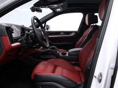 Porsche Cayenne 3.0T - ფოტო 16