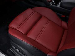 Porsche Cayenne 3.0T - ფოტო 17