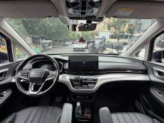 SAIC MG iMAX8 400TGI Supreme Land Respect Edition - ფოტო 12
