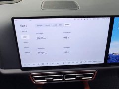 Li Auto L9 2023 Pro - ფოტო 14