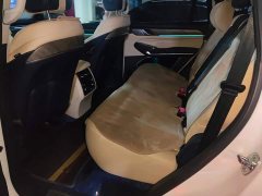 Tank 500 3.0T Sport Landscape 7-Seater - ფოტო 11