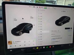 Tesla Model 3 Standard Range RWD Upgrade - ფოტო 12