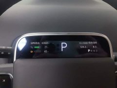 Li Auto L9 Max - ფოტო 14