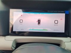 BYD Yuan UP 2025 301KM Pilot Edition - ფოტო 14
