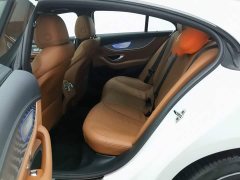 Mercedes-Benz CLS 300 Luxury - ფოტო 15