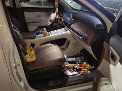 Wuling Bingguo S 2025 325km Deluxe Edition - ფოტო 8