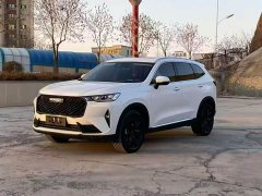 Haval H6 2021 Third Generation 2.0T Automatic AWD Max - ფოტო 1