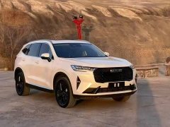 Haval H6 2021 Third Generation 2.0T Automatic AWD Max - ფოტო 3