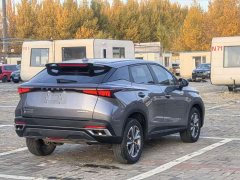 Chery Oumengda 1.5T CVT Yuijie Edition - ფოტო 9