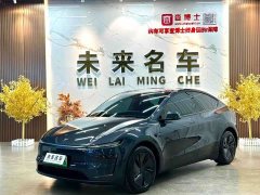 Tesla Model Y Long Range All-Wheel Drive Launch Edition - ფოტო 1