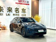 Tesla Model Y Long Range All-Wheel Drive Launch Edition - ფოტო 3