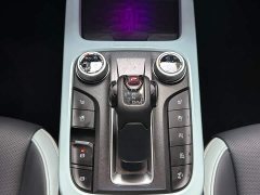 Tank 300 2021 City Edition 2.0T Stylish - ფოტო 15
