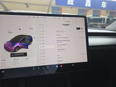 Tesla Model Y Standard Range RWD - ფოტო 4
