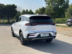 BYD Tang New Energy 2021 DM-i 112KM Premium Edition - ფოტო 4