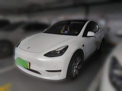 Tesla Model Y Rear-Wheel Drive - ფოტო 1