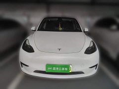 Tesla Model Y Rear-Wheel Drive - ფოტო 2