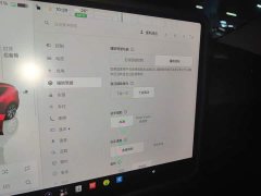 Tesla Model Y Rear-Wheel Drive - ფოტო 20