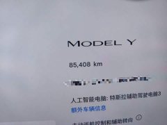 Tesla Model Y Rear-Wheel Drive - ფოტო 8