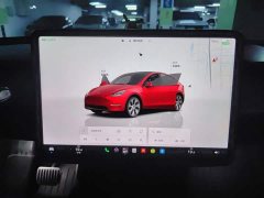 Tesla Model Y Rear-Wheel Drive - ფოტო 9